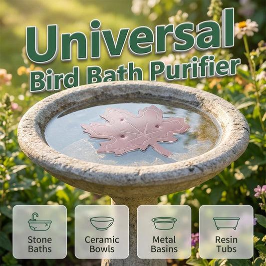 Bird Bath Water Purifier