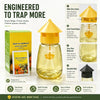 Outdoor Fly Trap