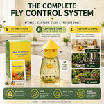 Outdoor Fly Trap