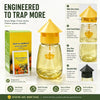 Outdoor Fly Trap