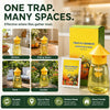 Outdoor Fly Trap