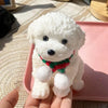 Cute Squishy Dog Desk Ornament