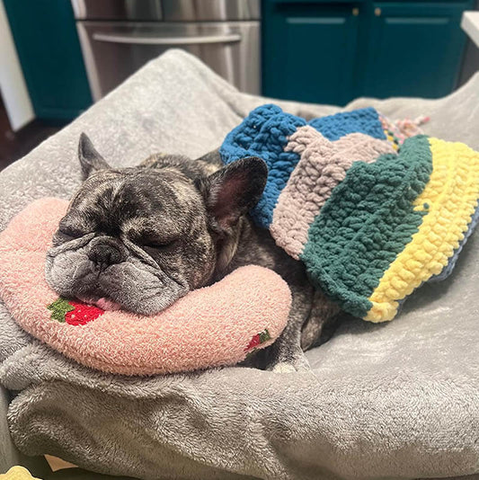 DreamPaws Calming Cushion