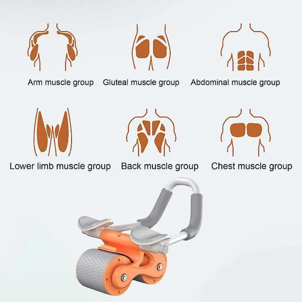 Pro Ab Roller System